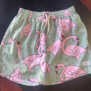 Duvin Design Green and Pink Swim Shorts